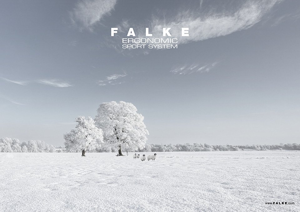 Inspiration - Falke 