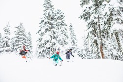 Retrouvez une slection des derniers produits THE NORTH FACE  la Boutique Bernard Charvin Les Enfants de Courchevel.